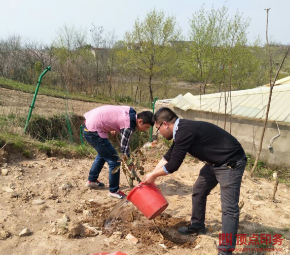 �Ͼ���c(di��n)ӡˢ�S��ˮ�D